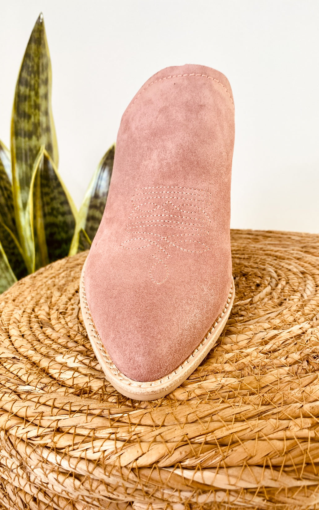 Dolce Vita Shiloh Mule in Blush Suede